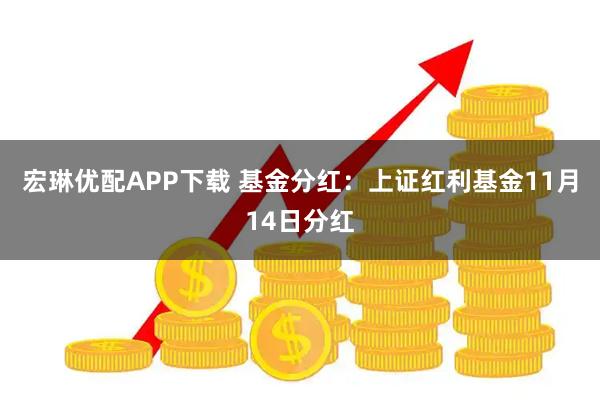 宏琳优配APP下载 基金分红：上证红利基金11月14日分红